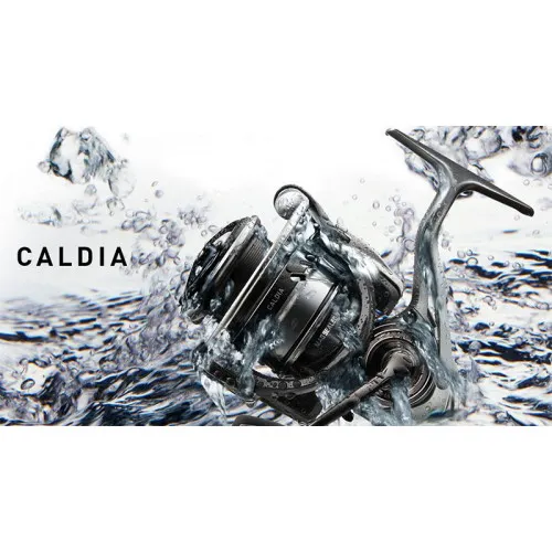 18 CALDIA LT 2000S (10412-205) 